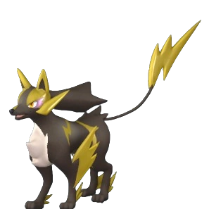 Rayhound